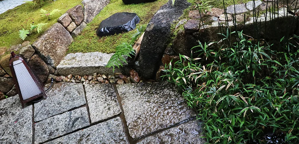 城南造園 さいたま市 松の松の